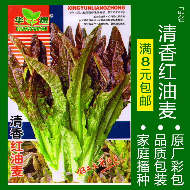 蔬菜种子四季播盆栽番茄黄瓜辣椒西瓜籽孑大全罗卜蕃茄苏州青黄心 红油麦菜约500粒 均码