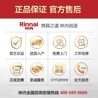 林内（Rinnai） 燃气热水器 即享系列 智能预约 0冷水 水量伺服器（天然气）E65强排式16升JSQ32-R65A