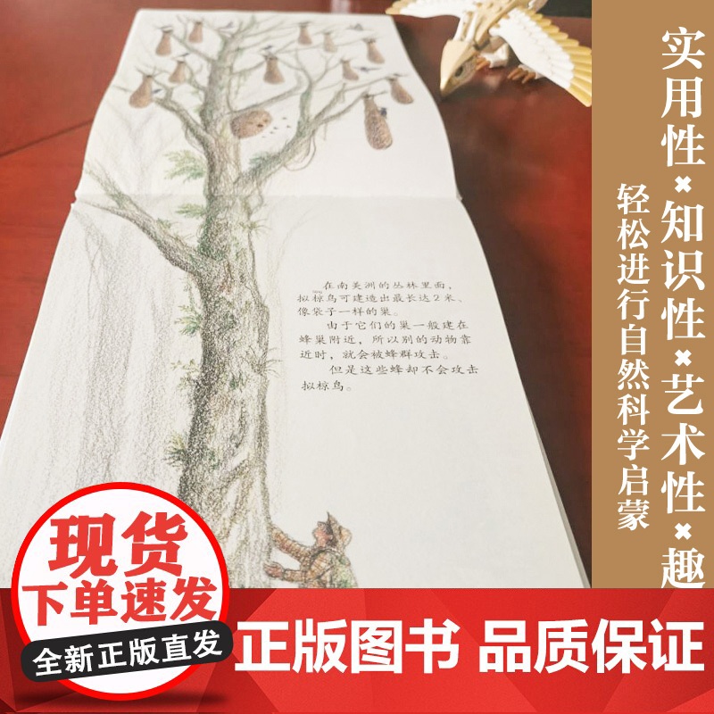 探秘鸟巢(儿童科普 探秘35种鸟类巢穴,开启自然科学启蒙之旅)天地社高清大图