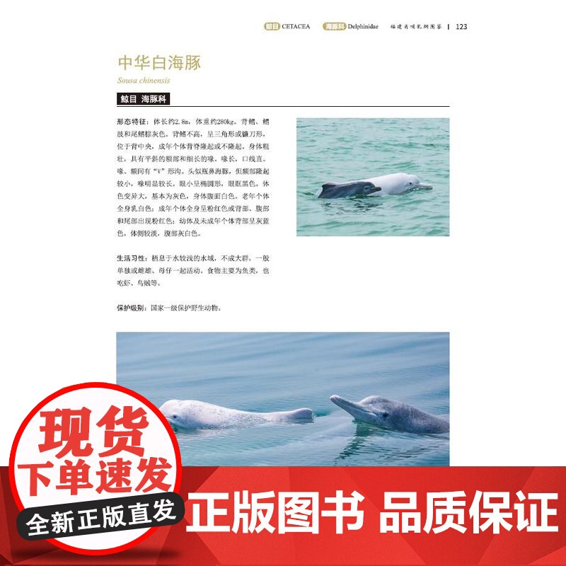 [店]福建省哺乳纲图鉴高清大图
