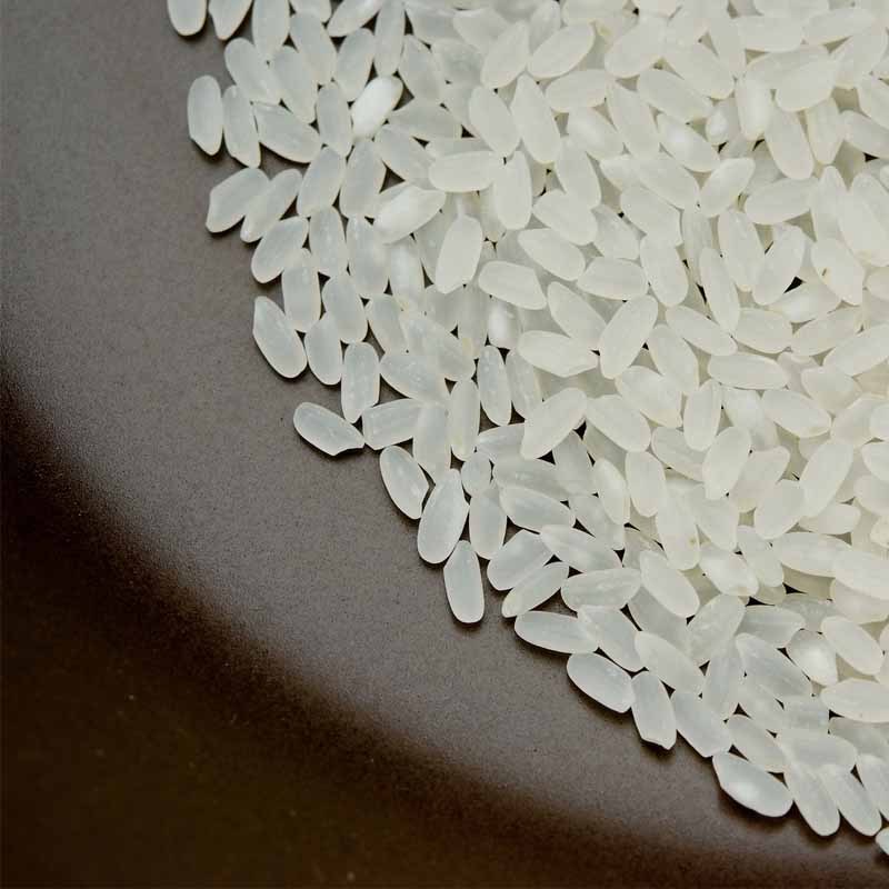 [江苏乡村振兴][财政集采][沭阳]虞美人 虾园鸿大米 5kg