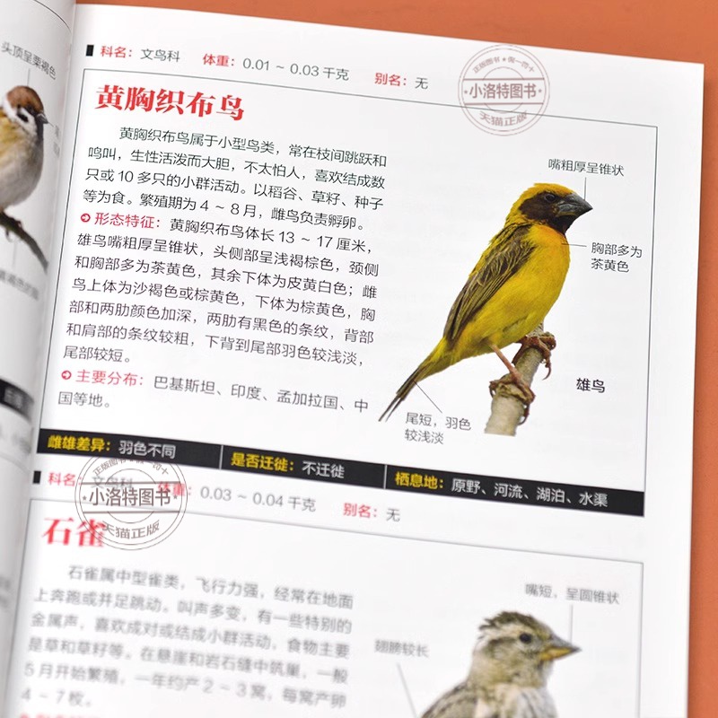 [正版] 鸟图鉴鸟类观察手册 世界鸟类行为动物科普图鉴 珍惜森林草原野鸟形态图鉴动物百科观鸟手册鸟类大全生态大图鉴大全高清大图