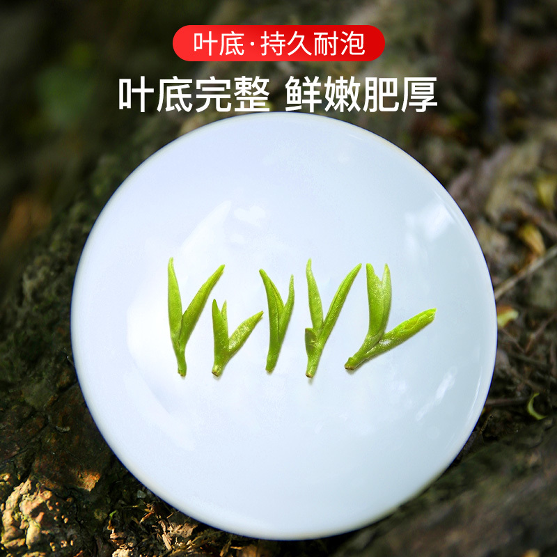 贡苑茶叶绿茶 明前龙井茶2盒共250g明前春茶浓香型散装茗茶