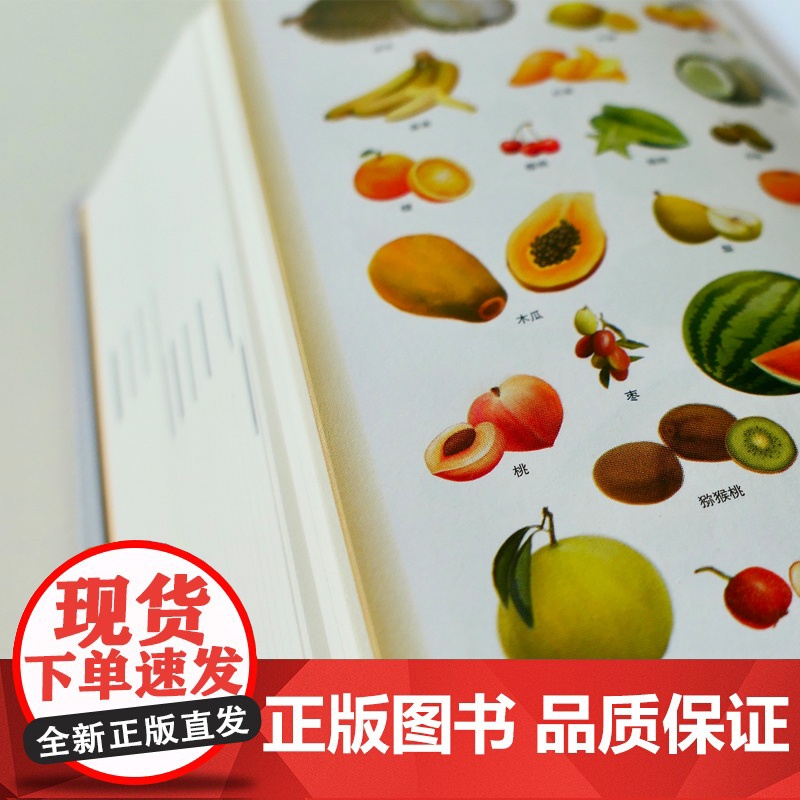 [外研社]现代汉语规范词典:第4版:缩印本高清大图