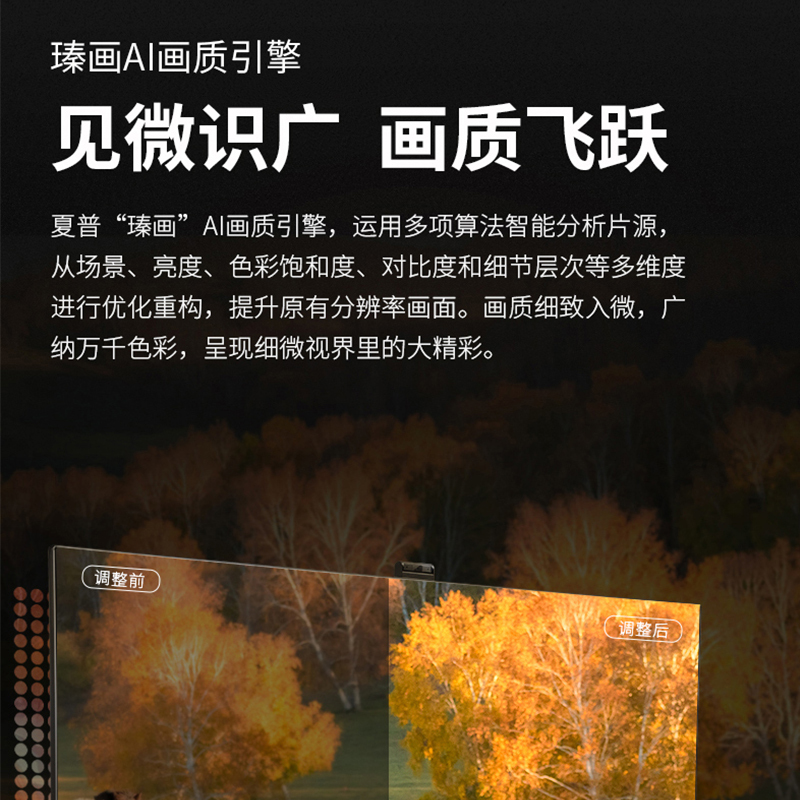 夏普(SHARP) 4T-M65U5EA/65U6EA 65英寸4K高清3+32G全面屏语音智能液晶平板电视机