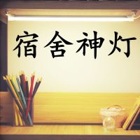 大学生器灯 书桌护眼台灯寝室学习酷毙灯 可充电usb灯管