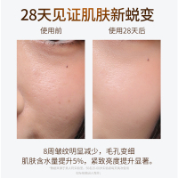 美人符(BEAUTY SIGN)肌肽虾青素多效精华液48支3ml 抗熬夜精华肌底液 提亮肤色水油平衡护肤套盒