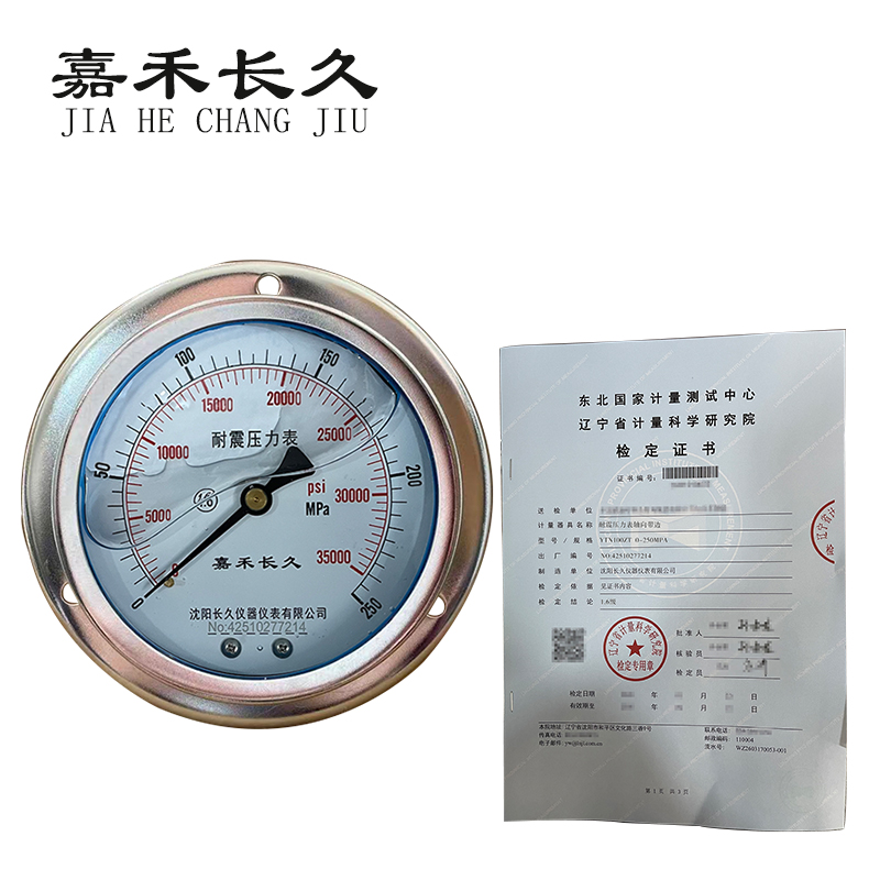 嘉禾长久 耐震压力表轴向带边（带辽宁省级检定证书）YTN100ZT 块 YTN100Z，0-250MPA