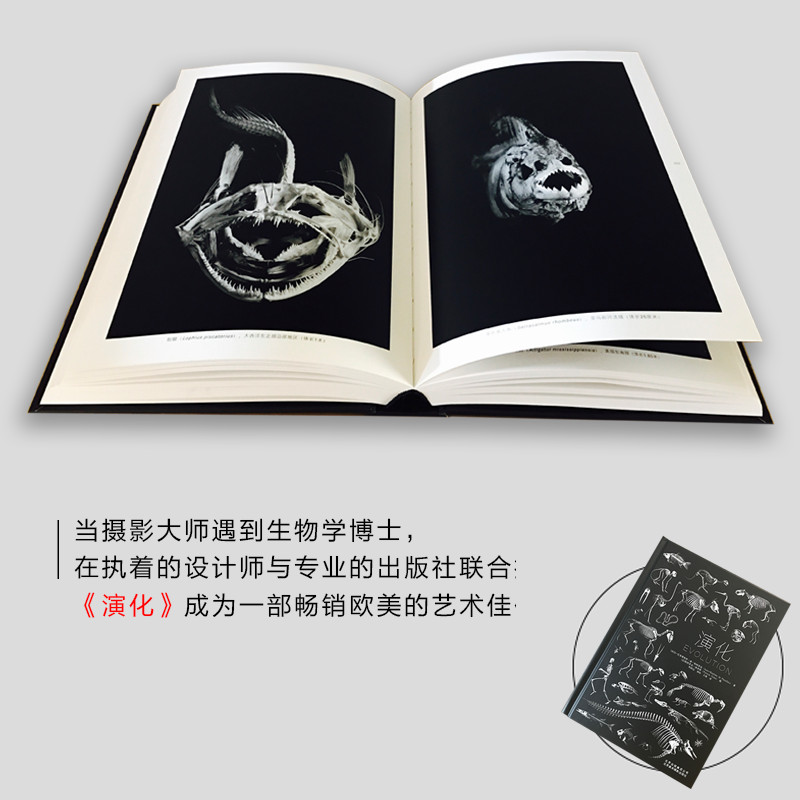 [醉染正版]正版 演化 动物骨骼标本 摄影艺术画册 法国自然历史博物馆藏品 黑白摄影艺术 全球自然科学科普读物 生物演化高清大图