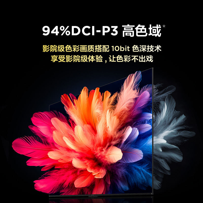 雷鸟鹤6 25款55英寸MiniLED电视家电国家补贴 240Hz高刷4K 4+64GB智能液晶平板电视机55S595C