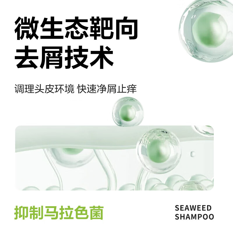 柏缇 海藻去屑洗发露 505ml高清大图