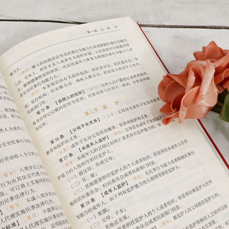 [正版] 民法典请求权基础检索手册 吴香香 中国法制 请求权基础理论本土化 鉴定式案例研习工具书 民法总则条文条旨规范高清大图