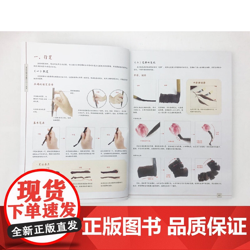 传统中国画基础入门:花鸟篇 飞乐鸟 电子工业出版社 正版书籍高清大图