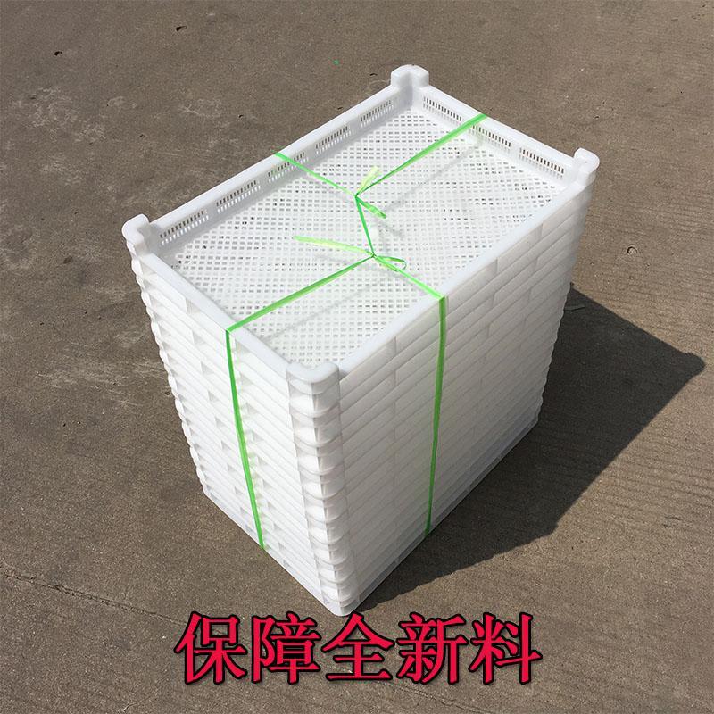 塑料筐单冻器烘干托盘 晾晒盘冷冻盘海参盘 塑料鱼盘 3号轻590*3 2号眯眼厚730*432*70毫米