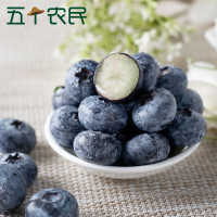 [五个农民]精品丹东蓝莓大果国产新鲜水果 单果18mm+(4盒装)顺丰发货