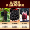 [买1发4共2000g]北京同仁堂内廷上用精选桑椹500g特产级野外生干桑果原味健康零食滋补佳品