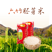 [中华特色]六合馆 立友农机六竹胚芽米5kg 一级粳米 晶莹如玉 粒粒分明美味香软不硬不软好吃营养