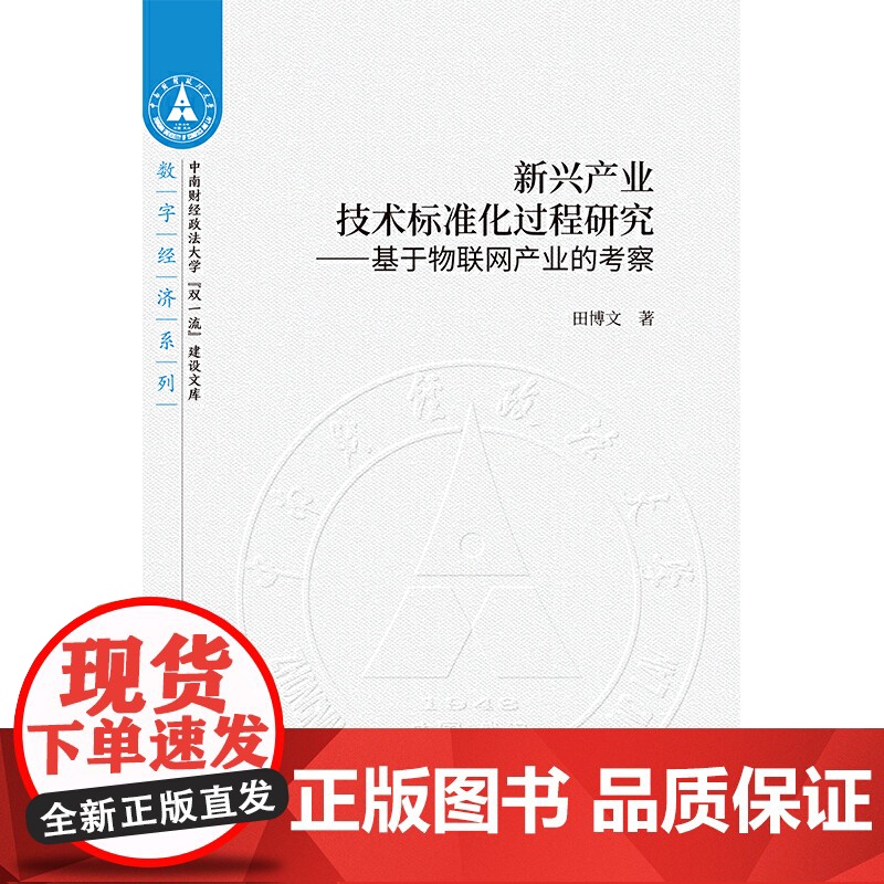 新兴产业技术标准化过程研究高清大图