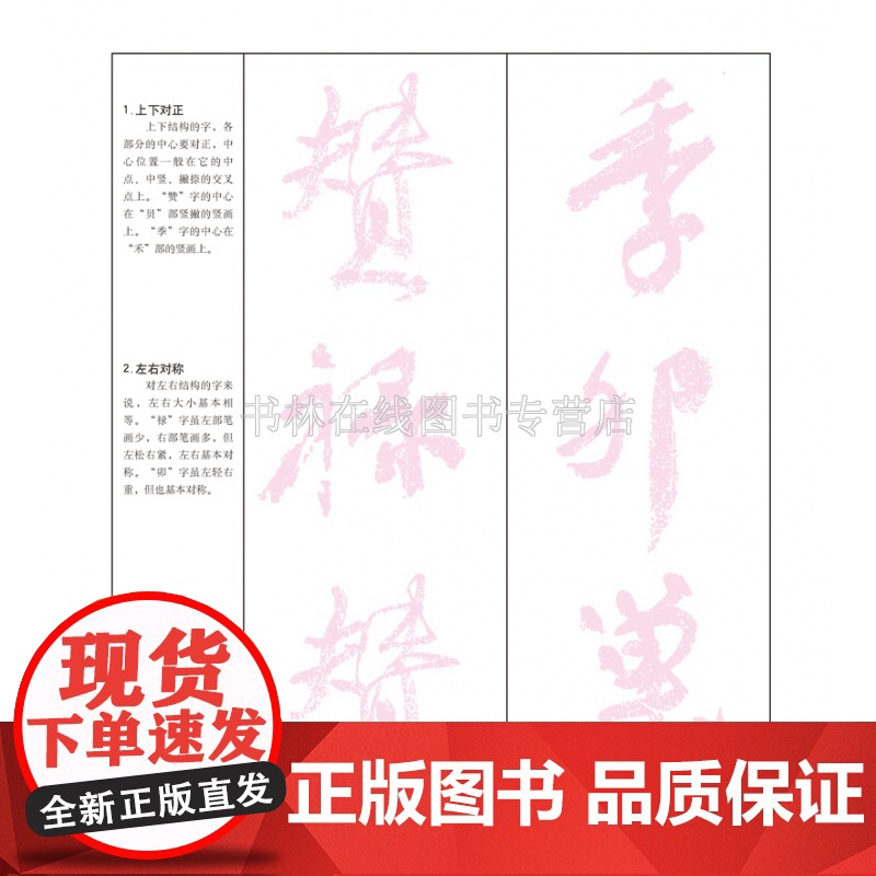 颜真卿祭侄文稿 我向经典学书法中小学生描红丛书 行书草书毛笔软笔字帖教程青少年临摹笔画讲解简体旁注 河南美术出版社高清大图