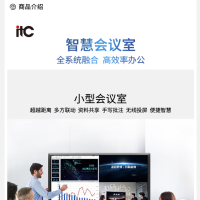 ITC 桌面式无线会议话筒 主席台 TS-W310A 一台