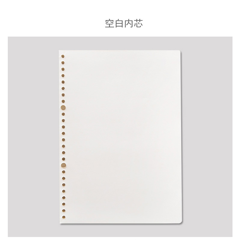 活页本芯 （2本）