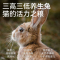 帕特诺尔生骨肉冻干猫粮高蛋白无谷成猫粮高含肉量增肥全价生命猫粮猫干粮无谷猫粮