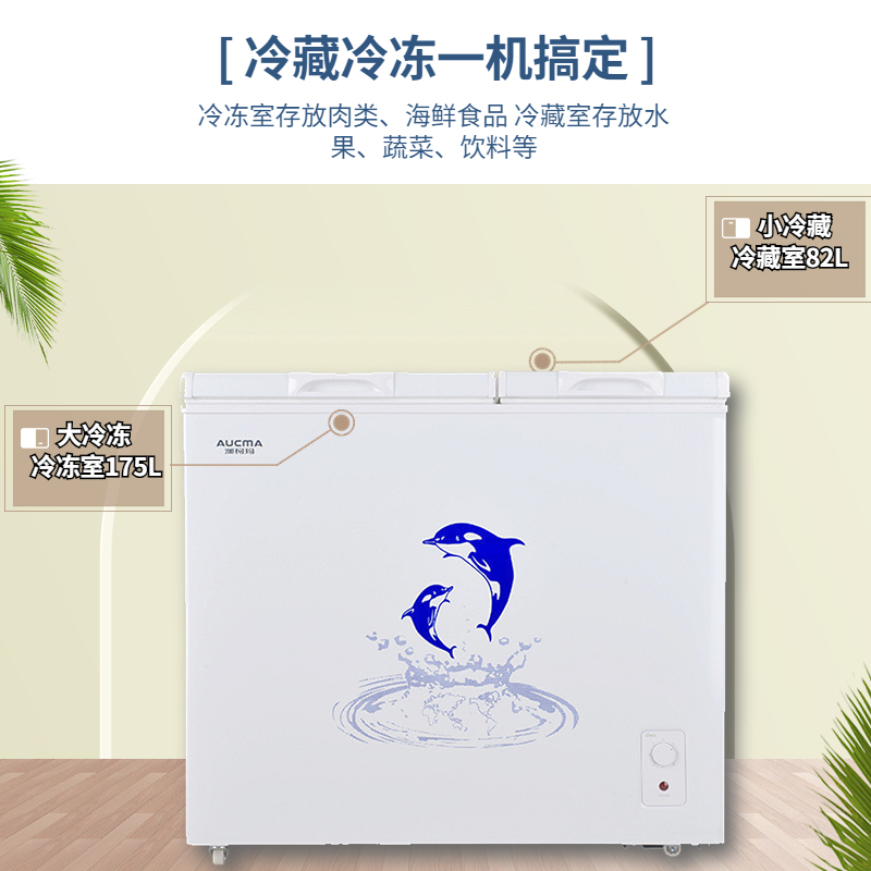 澳柯玛(Aucma)冰柜BCD-257CHN257升家用冷柜卧式双温冰柜 商用超市冷冻冷藏双用大冷柜1级能效