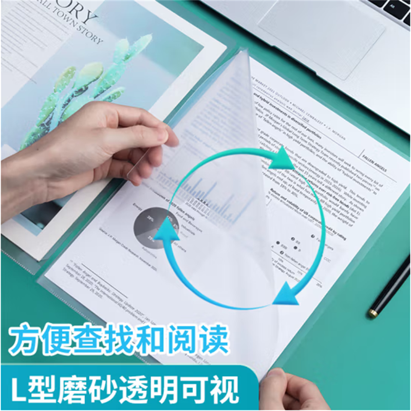 晨光(M&G)A4透明硬质文件夹文件袋硬胶套单片夹L型PP文件袋资料保护卡片袋文件卡套ADM95187 10个装