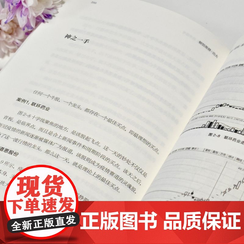 顿悟渐修:功夫 龙头 炒股 股票 复盘 补射 彭道富 深度挖掘投资中的人性和底层逻辑 战略 战术 龙头 周期 价值高清大图