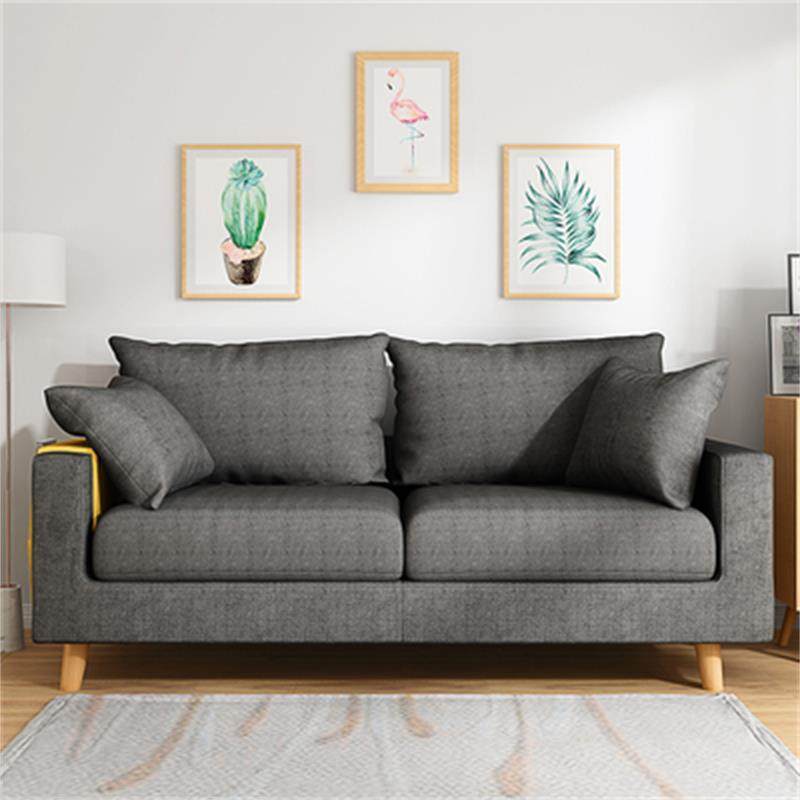 迈菲诗布艺沙发小户型简易客厅双人三人简约现代出租房小沙发网红款