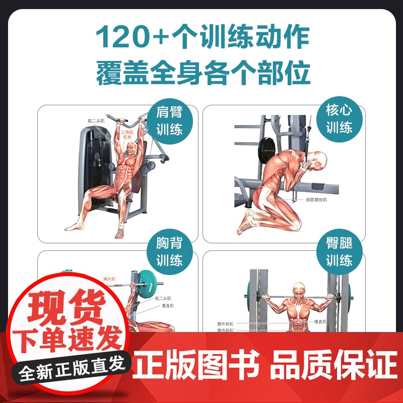 健身房训练彩色图谱 口袋版 健身书籍 健身训练计划 增肌书籍 力量与肌肉训练图谱 力量训练书籍高清大图