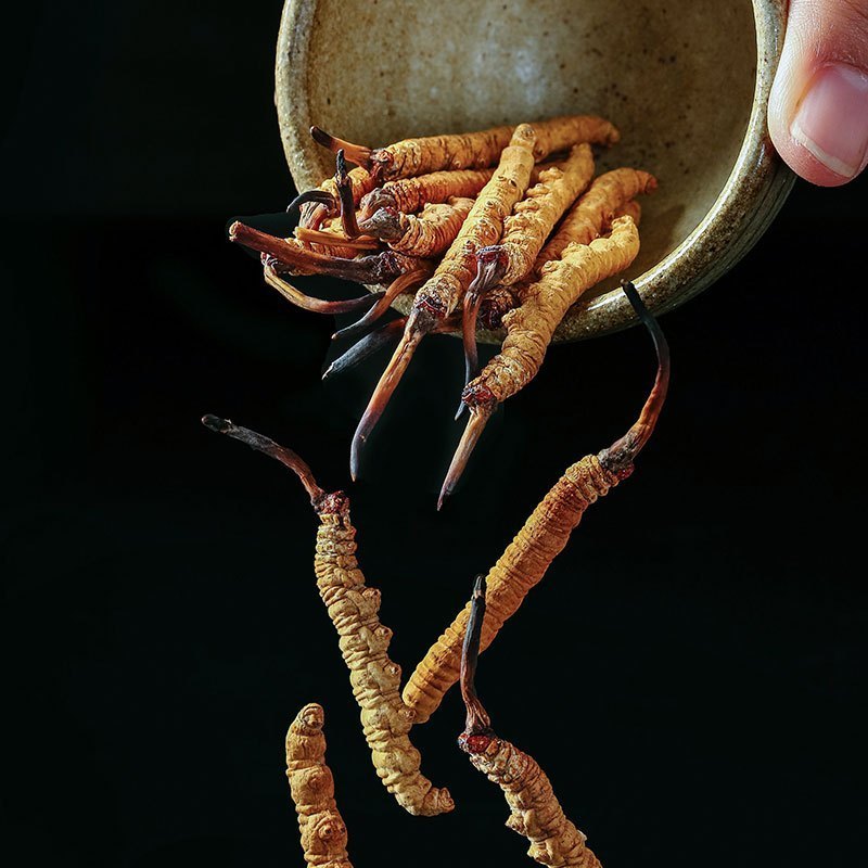青源堂牌 冬虫夏草 精选品质 青海虫草 4条/g高清大图