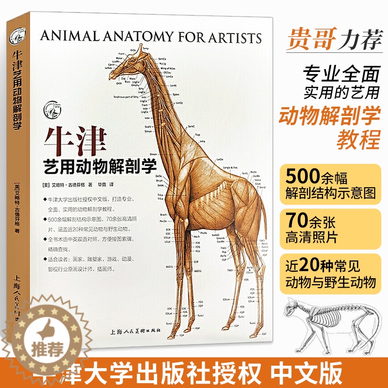[醉染正版]牛津艺用动物解剖学 野生常见动物骨骼与肌肉运动结构解剖结构示意图构造速记图谱 绘画技法教学教程工具书籍术语中高清大图
