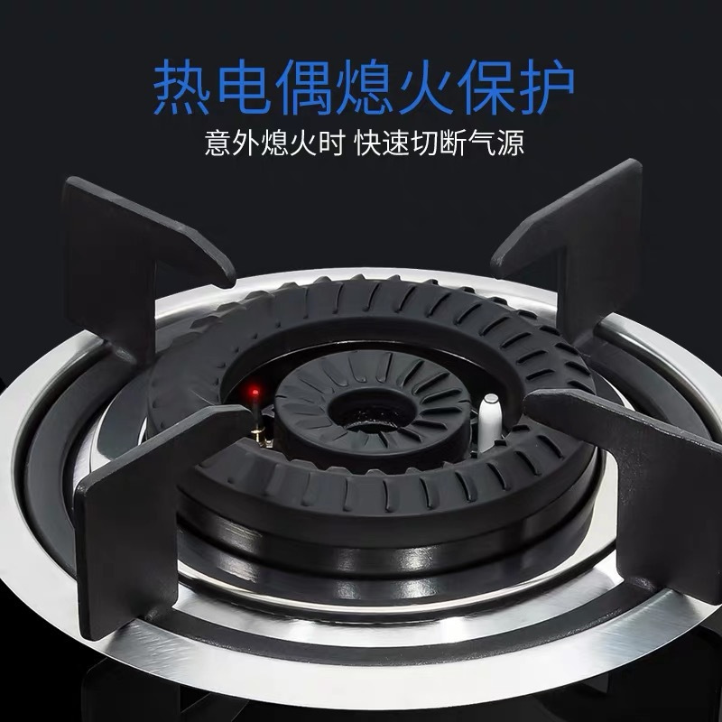 志高(CHIGO) F210D双灶眼燃气灶具台式嵌入式两用蓝焰炫火4.8大火力燃气灶(天然气)高清大图