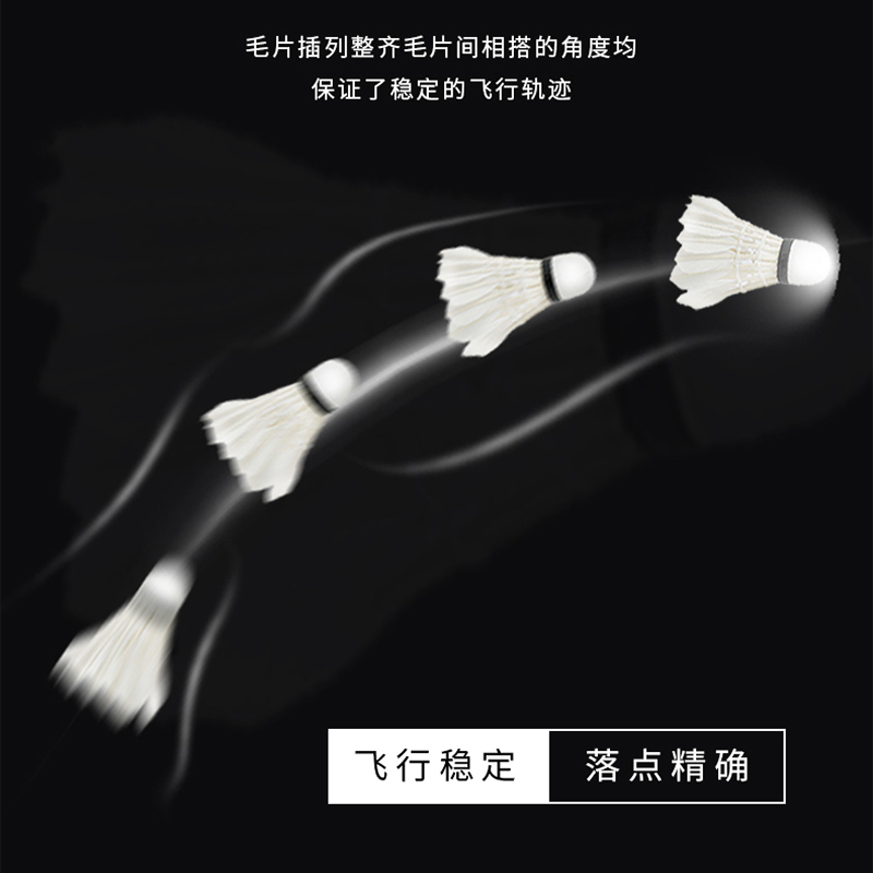 强力(QIANGLI) 筒装羽毛球鸭毛持久稳定耐打室内室外通用训练球