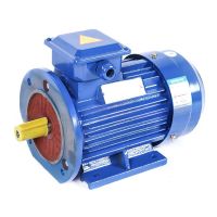 WNM安徽皖南电机 YE3-250M-4 55KW
