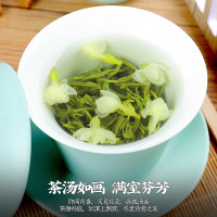 福岗 茉莉花茶特级绿茶茶包浓香型白豪茉莉花茶叶礼盒罐装500g