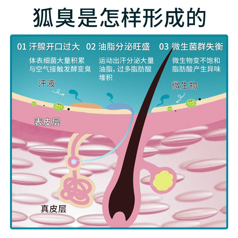 瓷天使时通止汗香体露五瓶装