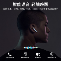 EDIFIER/漫步者 LolliPods无线蓝牙耳机真无线双耳入耳式耳塞运动 白色-S