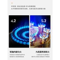 半球燃气灶台式嵌入式煤气灶双灶家用天然气液化气炉具节能猛火灶 旗舰聚能定时鸳鸯玻璃 液化气