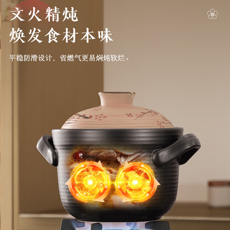 苏泊尔(SUPOR)家用聚能速热加厚养生煲汤陶瓷煲 4.5L TB45T1高清大图