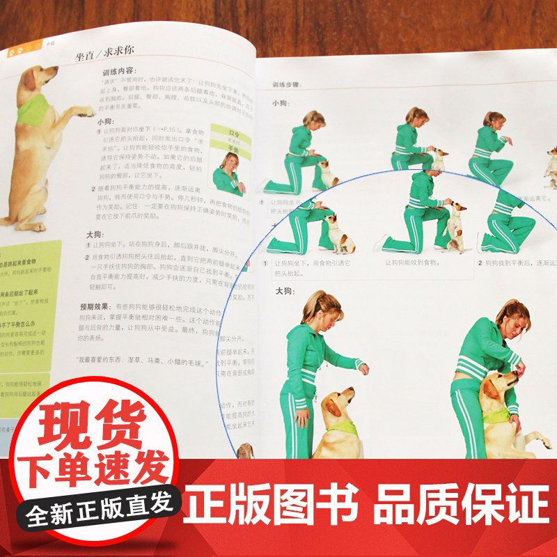 训练狗狗一本就够了 养狗书籍手册训犬教程训练狗狗的教程书宠物狗狗行为纠正心理学书籍关于狗的书训犬书 正版专业训狗秘籍大全高清大图