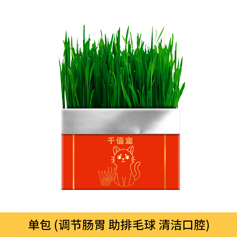 【补贴10%】猫草盆栽化毛草种子非已种好懒人小麦种子猫咪零食品水培营养种植 开年限定红红火火1包猫草