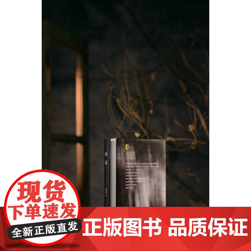 时运 宝珀理想国文学奖得主魏思孝新作另著王能好上海文艺出版社中国当代小说正版图书籍高清大图