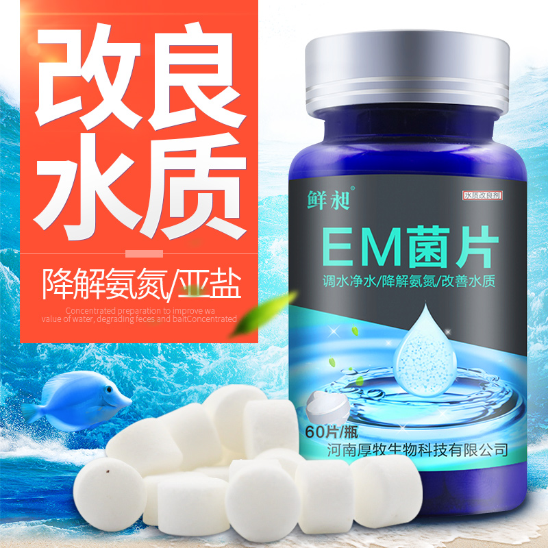 浓缩硝化菌片净化水质养鱼益生菌em菌鱼缸用品水族专用高清大图