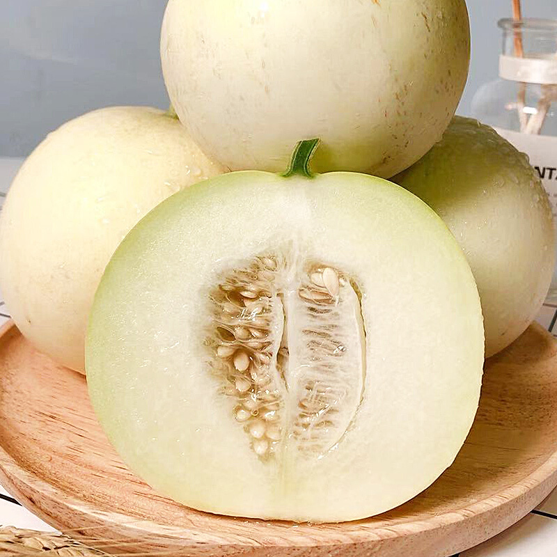 博多客上新云南新鲜郁金香甜瓜当季水果甜瓜25kg约57个