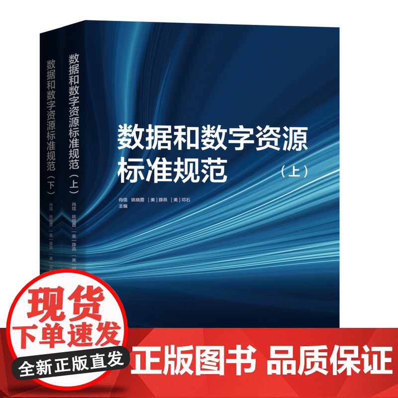 数据和数字资源标准规范 肖珑 姚晓霞 【美】薛燕 【美】邓石/著 广西师范大学出版社