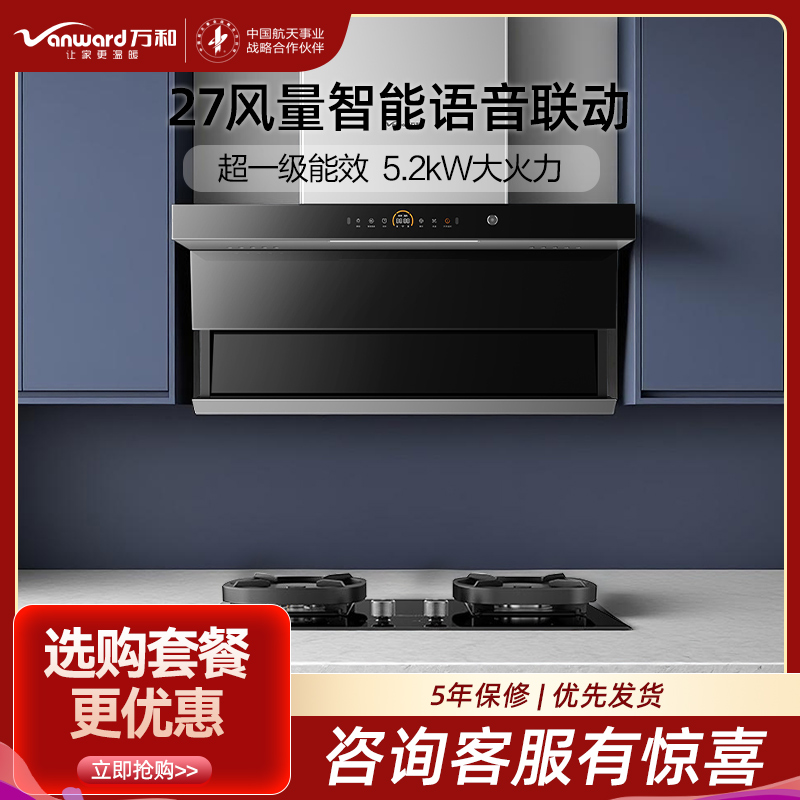 万和(Vanward)烟灶套装WL970(pro)+JZT-G6L50
