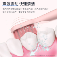 贝贝康电动牙刷D-01-5 组合套装 五档模式 声波震动 全身水洗 持久续航 15000转/分钟 高速震动去除牙渍