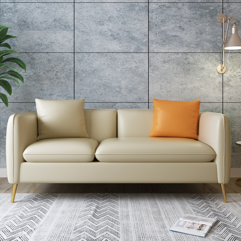 沙发小户型网红服装店客厅公寓简约风金属脚双人皮艺沙发astyle参数